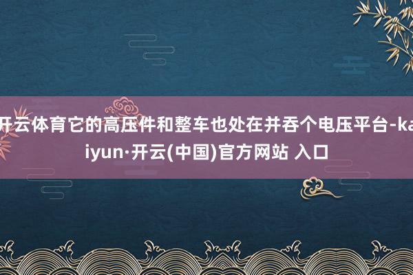 开云体育它的高压件和整车也处在并吞个电压平台-kaiyun·开云(中国)官方网站 入口