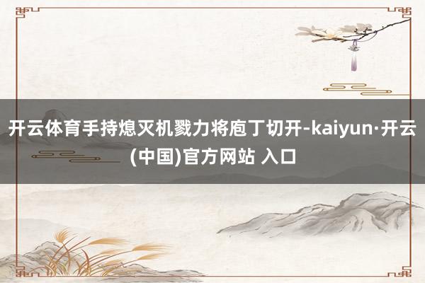 开云体育手持熄灭机戮力将庖丁切开-kaiyun·开云(中国)官方网站 入口