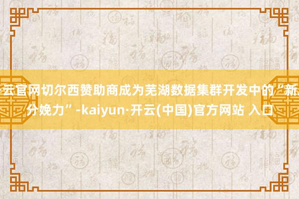 开云官网切尔西赞助商成为芜湖数据集群开发中的“新质分娩力”-kaiyun·开云(中国)官方网站 入口